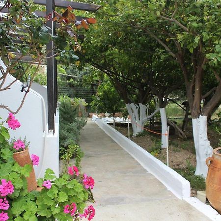 Aaron Apartments แฟร์มา ภายนอก รูปภาพ
