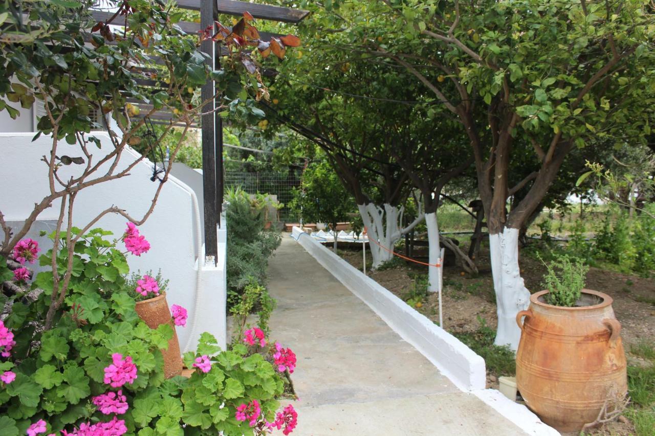 Aaron Apartments แฟร์มา ภายนอก รูปภาพ